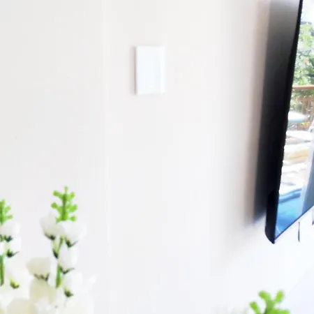 Hakuna Matata * Kavala